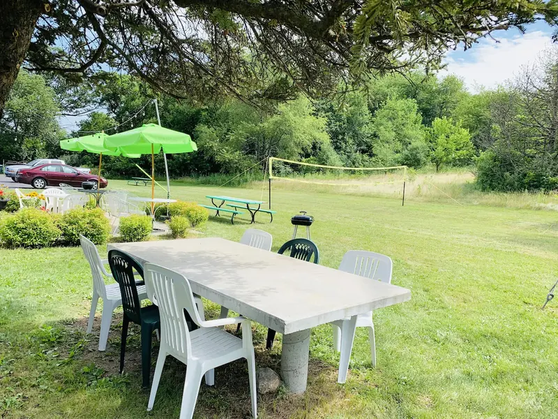 Garden table and chairs under trees on the lawn